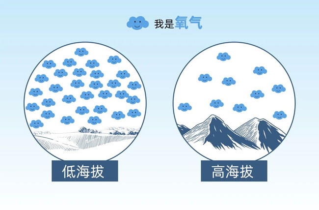 德赢·(VWIN)官方网站-AC米兰官方相助同伴